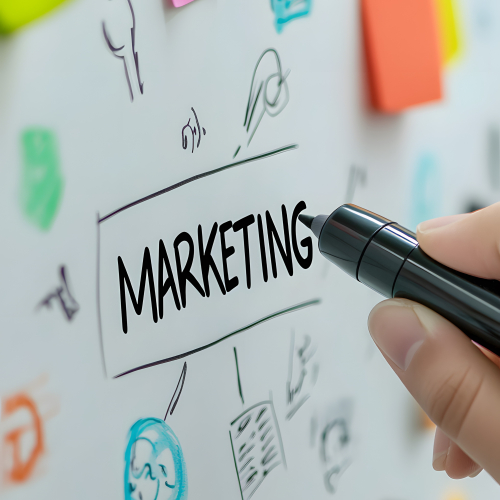 Marketinq üzrə mütəxəssis